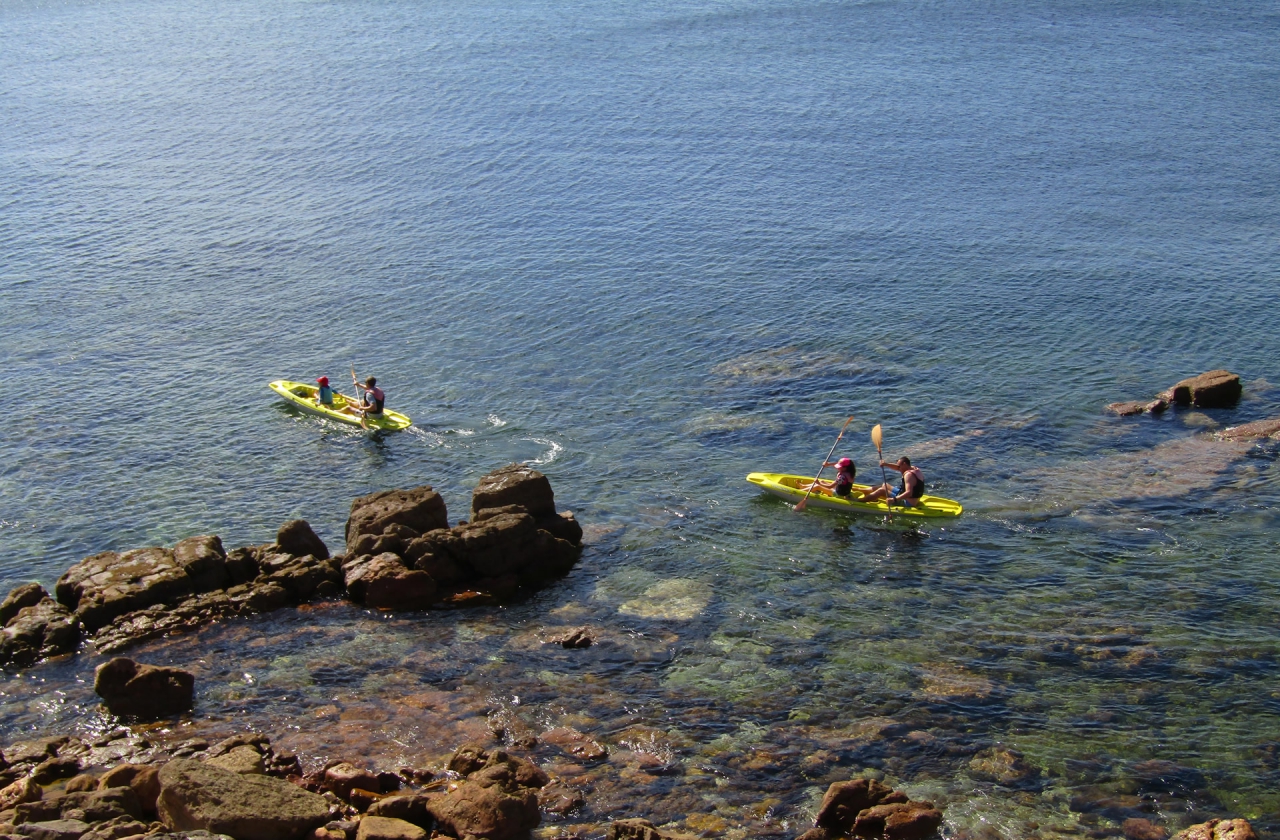 Kayak
